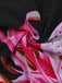 Maillot de Bain Floral Filet Col V Profond Noir Années 1940 5