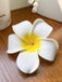 Pince à cheveux fleur 3D Plumeria Obtusa blanche