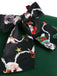 Robe Vintage Année 50 Vintage Patchwork Imprimée Chien Mignon